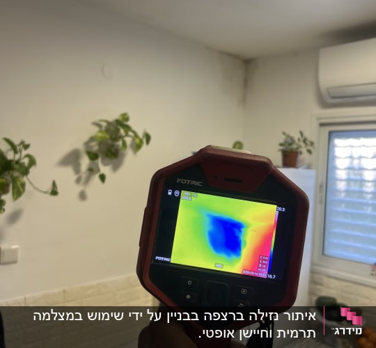 מד חום תרמי ביד, קיר עם צמחים, חלון ומזגן